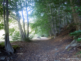 Serra_del_Salifizio - 31-07-2016 09-04-23.jpg